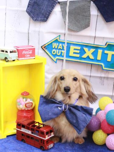 20230409モカちゃん